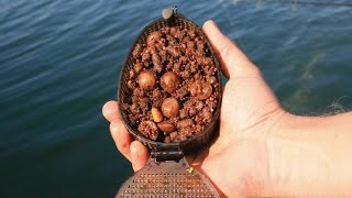 SBS Tactical Baits  Big Fish Tactics Part 4  Search for a spot and concentrated feeding [upl. by Atinal]