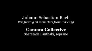 Cantata Collective Solo Excerpt  Johann Sebastian Bach  Wie freudig ist mein Herz from BWV 199 [upl. by Enortna761]