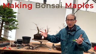 Making Bonsai Maples [upl. by Renault]