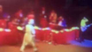 The Wiggles Live Hot Potatoes [upl. by Finbur]