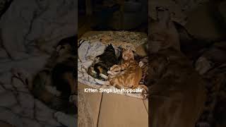 Kitten sings Sias Unstoppable to his sister [upl. by Sokin]