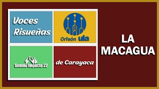 ULA Orfeón y Voces de Carayaca  LA MACAGUA [upl. by Iluj]