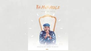 Drimz  Ba Mwankole Audio [upl. by Tiloine74]