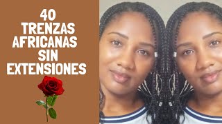 Cómo hacer trenzas africanas sueltas SIN extensiones 💞  CABELLO AFRO [upl. by Earaj]