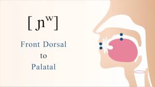 ɲʷ  voiced labialized front dorsal palatal nasal stop [upl. by Adnileb910]