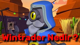 Wintrader Nedir   Detaylı Kısa Anlatım [upl. by Kurzawa569]