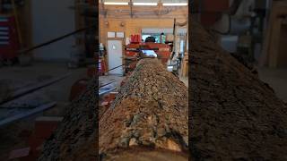 Maxing out the sawmill 206quotWhite Oak woodworking sawmill woodmizer edger kiln diy sawing [upl. by Ainadi]