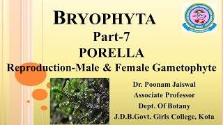 Dr Poonam Jaiswal Bryophyta Part7 Porella Reproduction [upl. by Bibbie871]