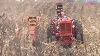 Minneapolis Moline Corn Picking [upl. by Natica]