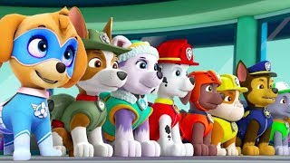 Paw Patrol Al Lavoro 2 Salva le Pecore  ITA [upl. by Illehs191]