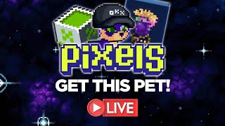 FREE MINT PET PIXELS x OKX [upl. by Chrissa541]