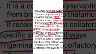 Ascending Reticular formation [upl. by Andrej]
