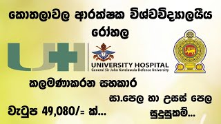 KDU Hospital Vacancies  Management Assistant Jobs  Shan Creation  Government Job  After AL Jobs [upl. by Haggai614]