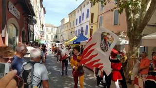 Sbandieratori Castiglion Fiorentino à La Cadière dAzur [upl. by Anomar]