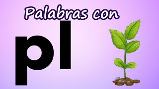 Palabras con Pl Sílabas trabadas  Aprende a leer y escribir pla ple pli plo plu [upl. by Gazo]