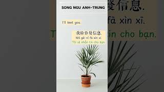 Song ngữ Anh  Trung P7 learnchinese learnenglish [upl. by Ibrad]