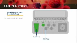 The Mycoplasma Testing Revolution  Episode 4 [upl. by Deenya]