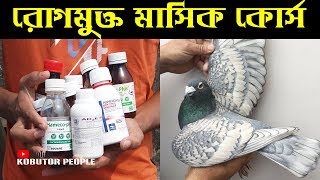 কবুতর কে রোগমুক্ত রাখতে সম্পূর্ণ মাসিক কোর্স  Pigeon Month Medicine Course Kobutor Palon Bangladesh [upl. by Ahsote665]