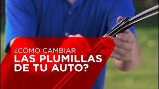 ¿Cómo cambiar las plumillas del auto [upl. by Atoiganap812]