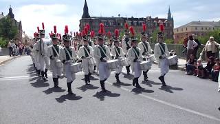 Radeberger Spielmannszug  Festumzug 600 Jahre Stadtrecht Radeberg 2012 [upl. by Nytsirt847]