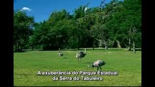 Parque Estadual da Serra do Tabuleiro  legendado em português [upl. by Krebs426]