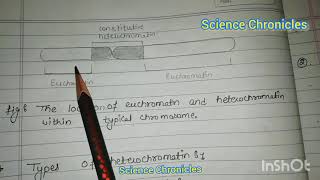 Euchromatin and heterochromatin hpu msc botany [upl. by Mencher]