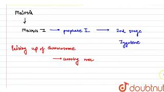 Describe the following  a Synapsis  CLASS 10  CELL CYCLE AND CELL DIVISION  BIOLOGY  Doub [upl. by Ylek289]