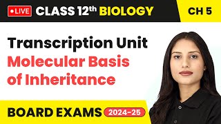 Transcription Unit  Molecular Basis of Inheritance  Class 12 Biology Chapter 5  live [upl. by Jacinta]