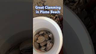 Quick Limits of 10 Pismo Clams [upl. by Papagena386]