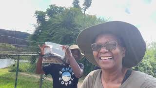 Welcome To The Trout Hatchery  Nyangombe Falls Troutbeck Nyanga  Living In Zimbabwe [upl. by Cirdla]