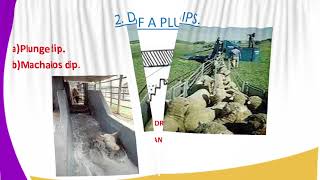 AGRICULTURE FORM 3 LESSON 34 LIVESTOCK STRUCTURE [upl. by Gievlos]