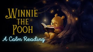 🧸 Reading of WinniethePooh  Full Audiobook for Sleep 😴 [upl. by Malcah]