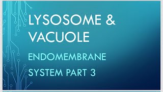 Lysosome And Vacuole Detail Explanation in easiest method Endomembrane system part 3 Biologygyaan [upl. by Ynner]