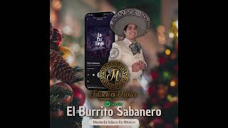 🎶🕊️ ¡Escucha El Burrito Sabanero en Spotify 🕊️🎶 [upl. by Thirza]