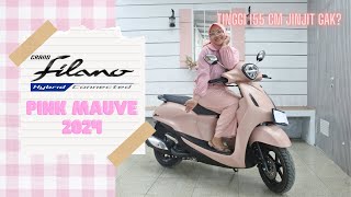 Bahas Grand Filano Neo Pink Mauve 2024 [upl. by Assenay933]