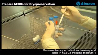 Prepare hESCs for Cryopreservation [upl. by Blane]