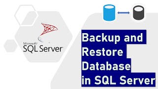 Backup and Restore Database in SQL Server [upl. by Reel]