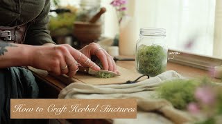 All About Crafting Tinctures  Herbal Medicine Making  How to Guide [upl. by Neeka]