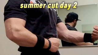 summer cut  day 2  1794 lbs  abs [upl. by Clem]