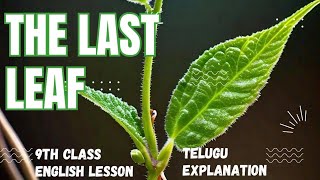 The Last Leaf  9th Class English Lessons Explained In Telugu  CBSE [upl. by Eema]