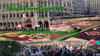 Brussels Flower Carpet Show [upl. by Schonfield648]