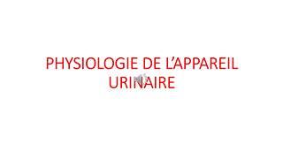 Introduction 1 PHYSIOLOGIE RENALE Pr  zahra Sokar  FSSM [upl. by Lot693]