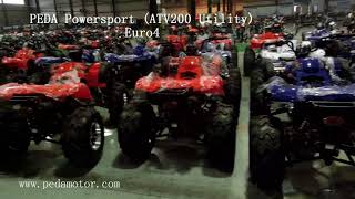 PEDA MOTOR Italy ATV EEC 1682013 EURO4 Powersport QUAD factory wholesale [upl. by Aibat282]