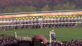 2013 ジャパンカップ ジェンティルドンナ JAPAN CUP Gentildonna [upl. by Dualc]