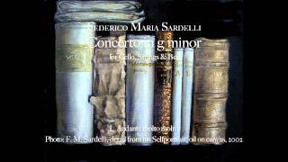 Federico Maria Sardelli  Concerto for Cello Strings amp Bc in g minor I mov [upl. by Perzan315]