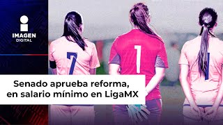 Salario mínimo para deportistas sacude a LigaMX Senado aprueba reforma [upl. by Magill]