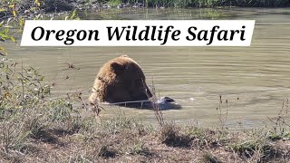 Oregon Wildlife Safari 2024 Tour [upl. by Enirac]