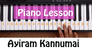 How to Play aayiram kannumai in piano  Learn PIANO [upl. by Brunhild68]