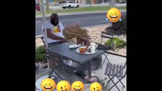 🤣😁El gallo funnycomedyvideo prank viralvideo [upl. by Maurie]