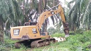 কিভাবে পাম অয়েল গাছ মেশিন দিয়ে কাটা হয়  How palm oil Tree are harvested by machine [upl. by Ellekram410]